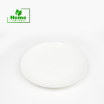 Moon-Plate-10-2