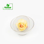 WY002-6-inch-BOWL